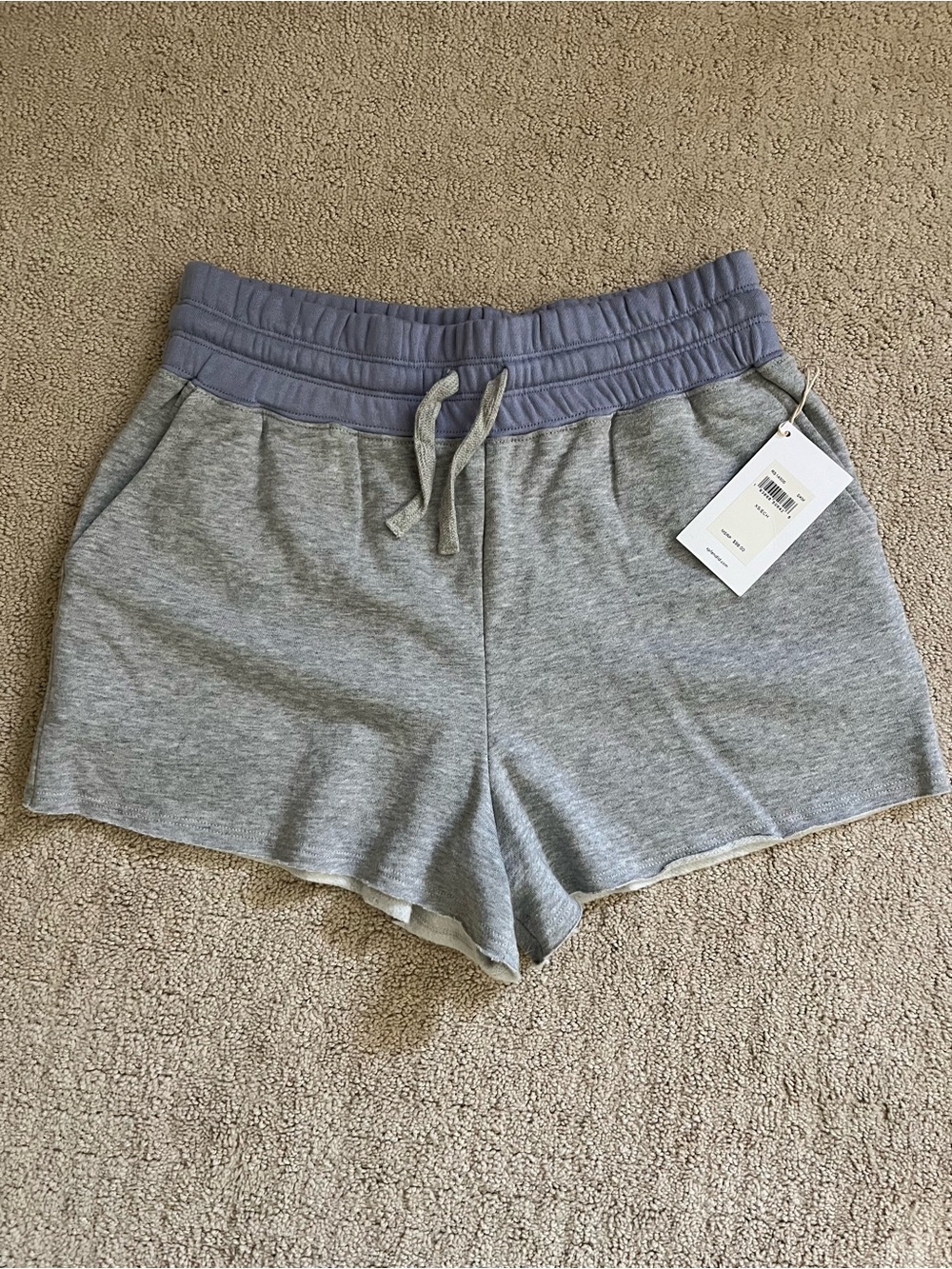 Splendid shorts
